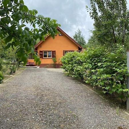 Ab'S Rustic Cabin Dejani Zewnętrze zdjęcie
