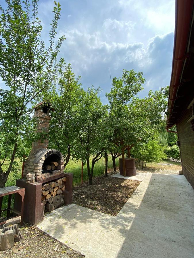Ab'S Rustic Cabin Dejani Zewnętrze zdjęcie