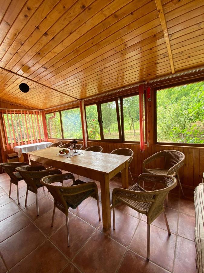 Ab'S Rustic Cabin Dejani Zewnętrze zdjęcie