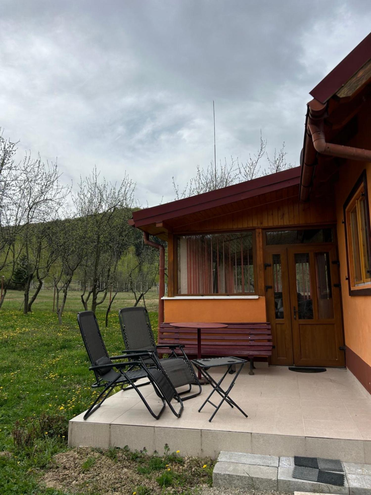 Ab'S Rustic Cabin Dejani Zewnętrze zdjęcie
